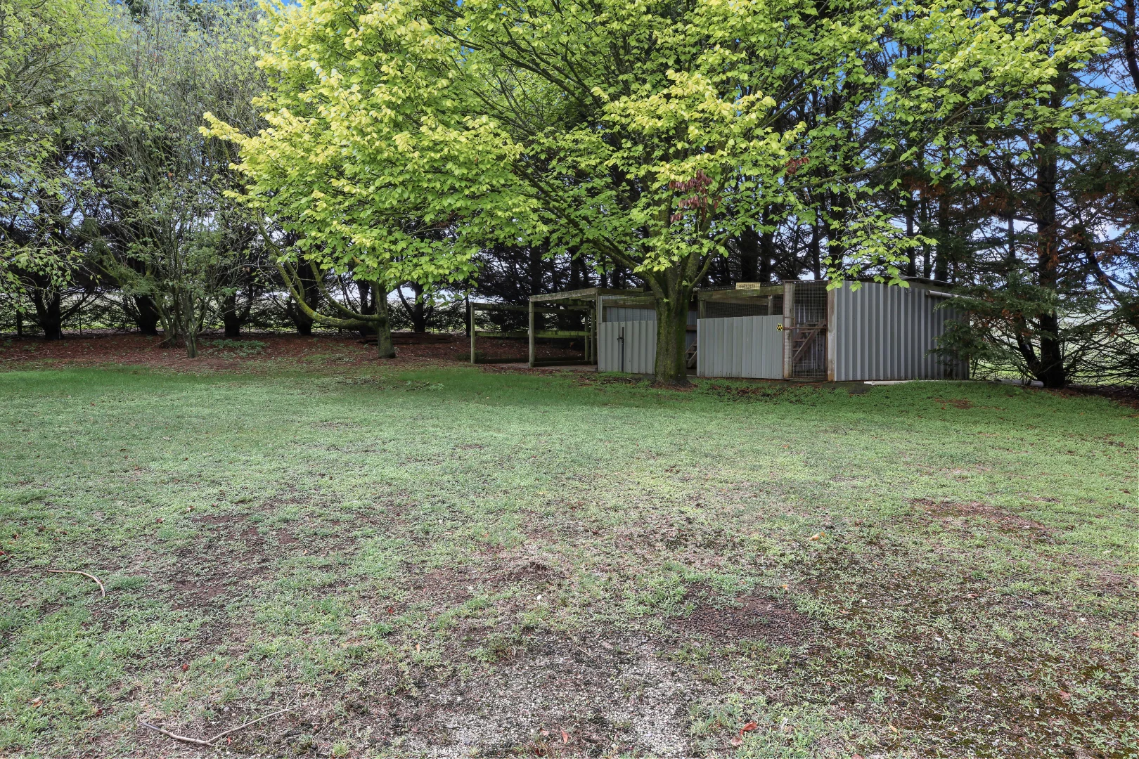 Image 8