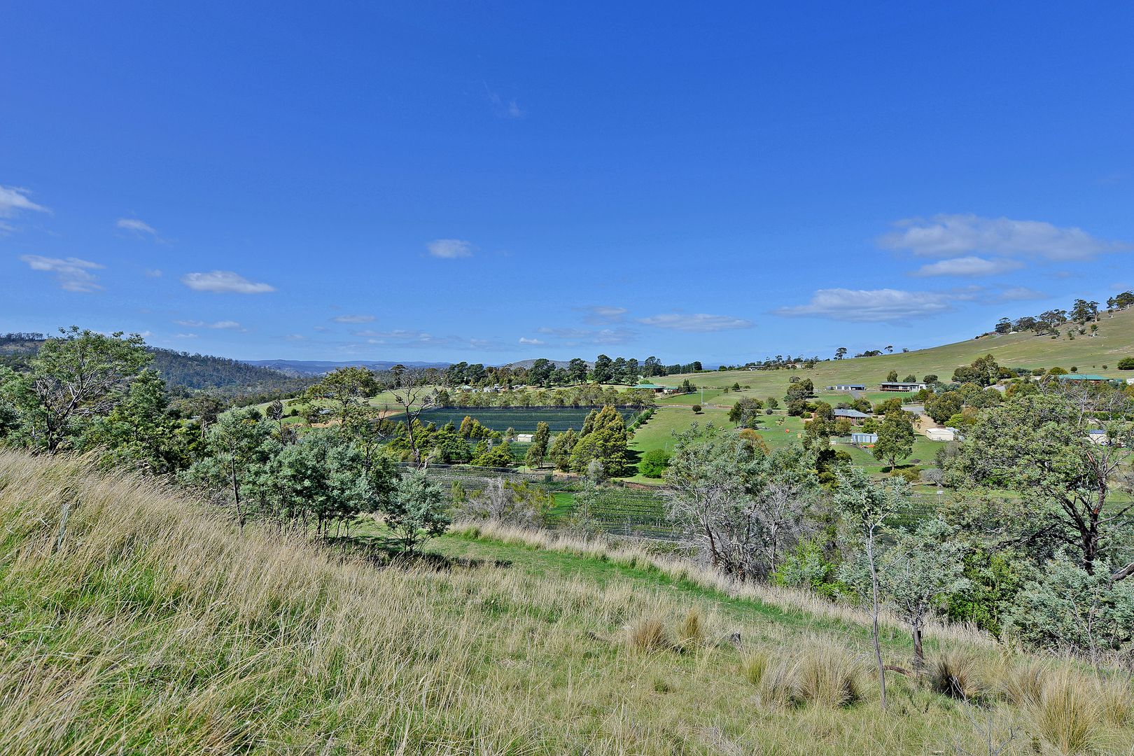 9 Bourbon Ave, Richmond TAS 7025, Image 1