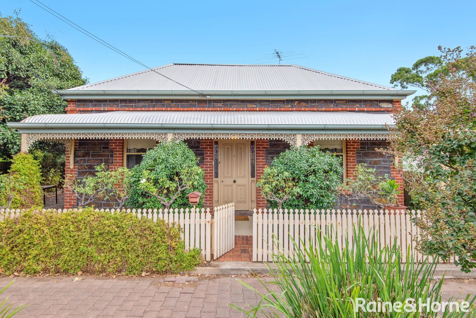 66 Essex Street South, Goodwood SA 5034, Image 0