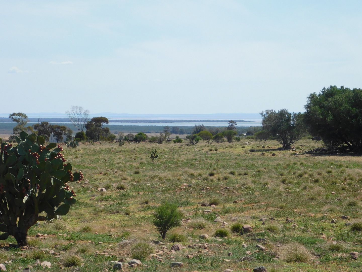 Lot 6 Scenic Drive, Napperby SA 5540, Image 2