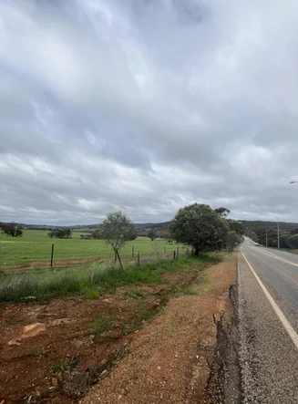 Image 17