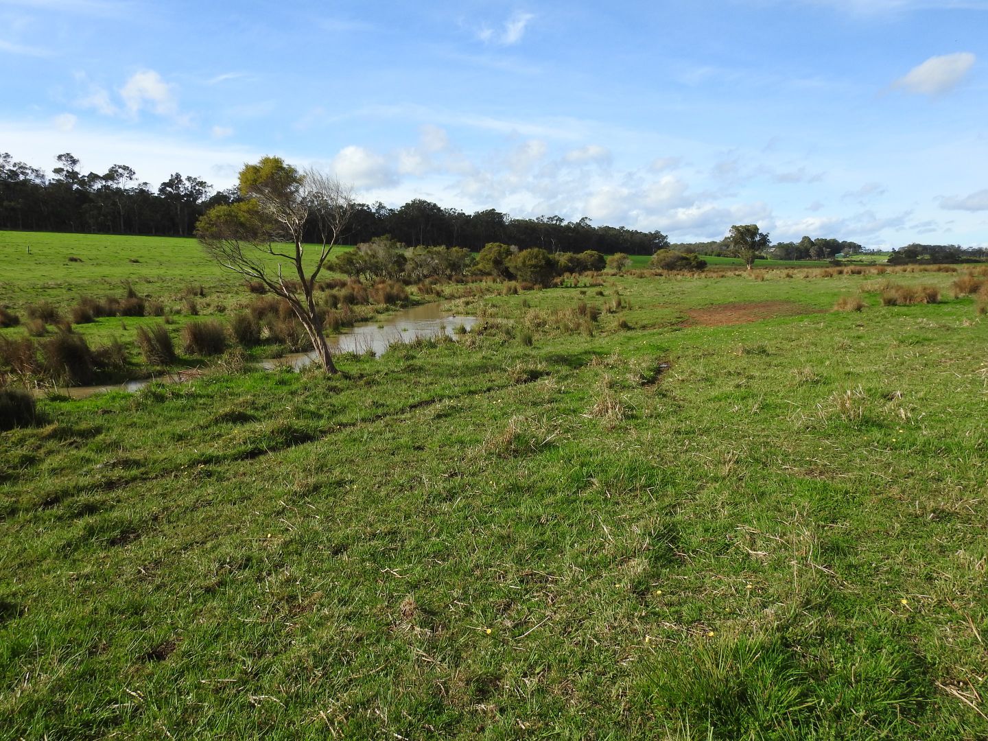 Lot 2 Oldfield Road, Treeton WA 6284, Image 1