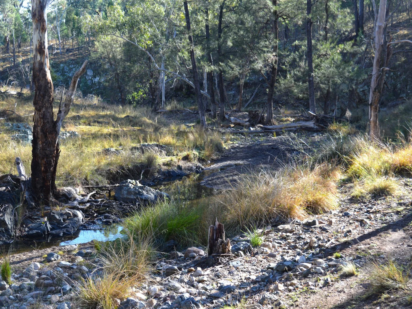 Additional image 13 of Lot 1 Hollybank Road, Inglewood QLD 4387