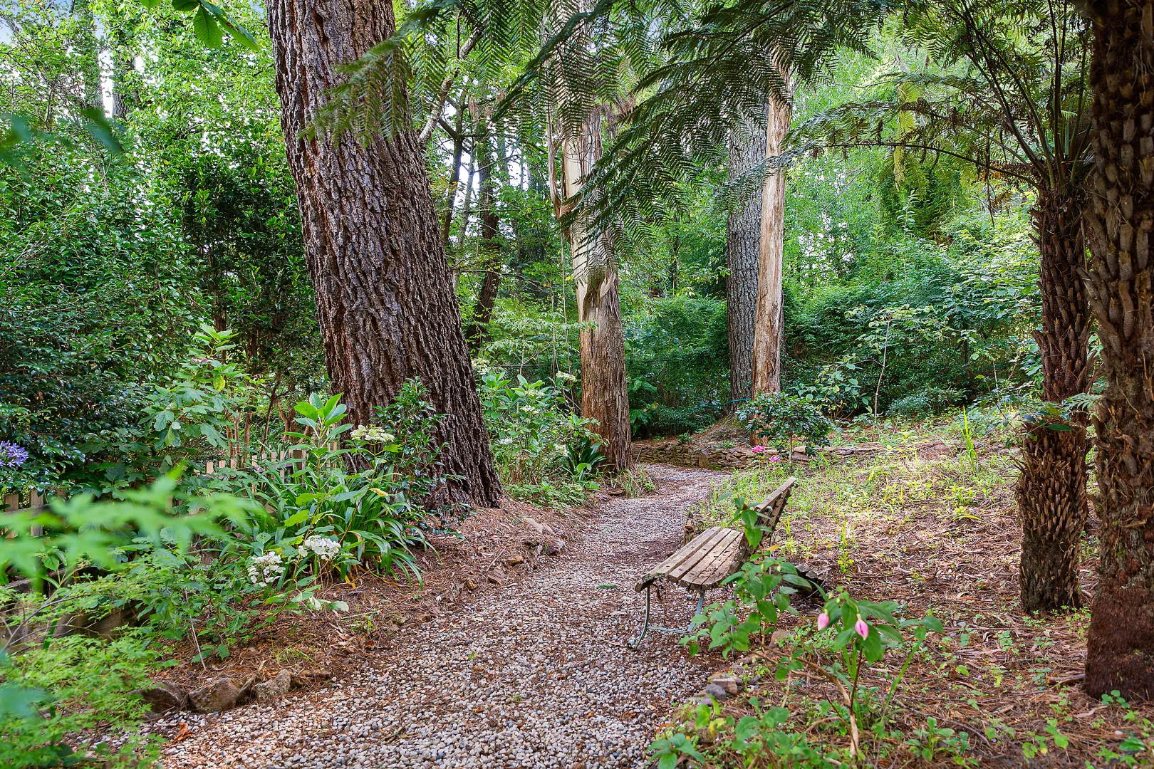 Additional image 14 of 26 Scott Avenue, Leura NSW 2780