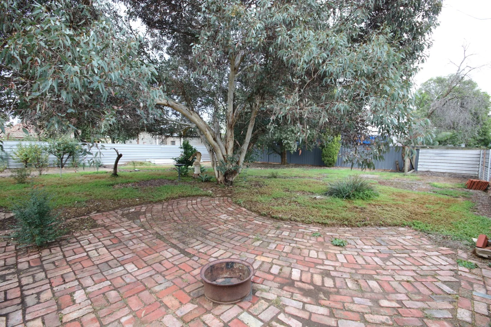 Image 14