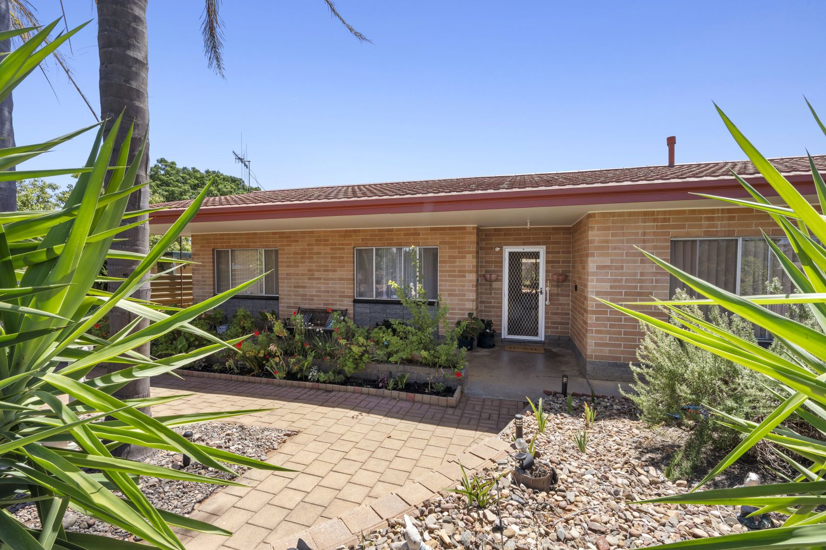 19 Streeter Avenue, Glossop SA 5344, Image 1