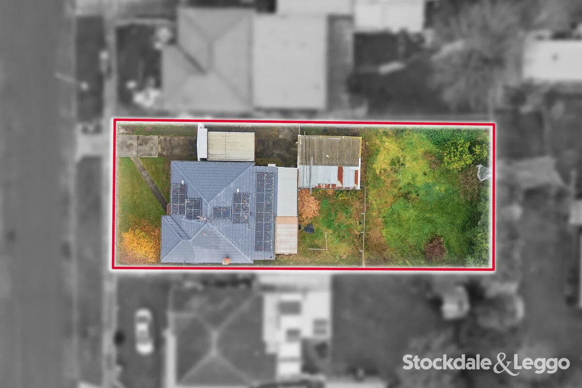 Image 19
