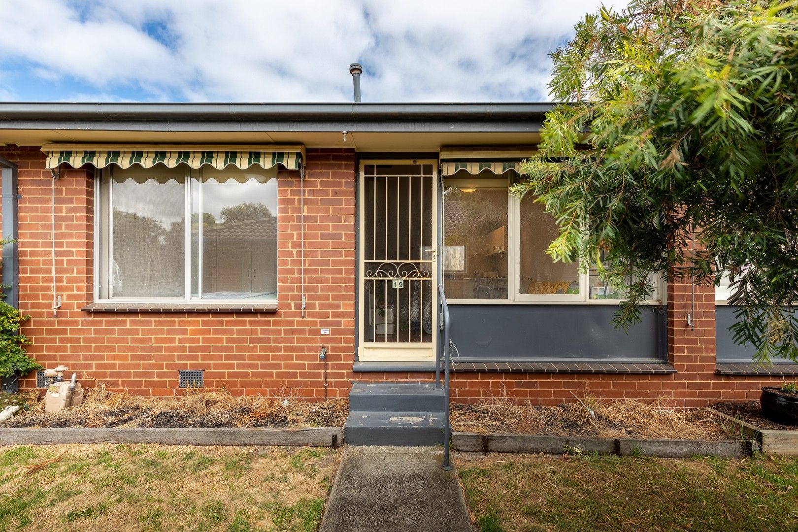 19/23 Olive Grove, Mentone VIC 3194 Apartment For Rent 370 Domain