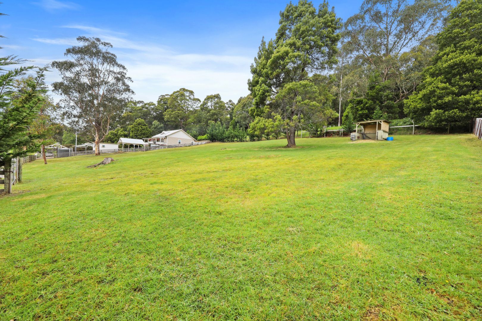 362 MT Baw Baw Tourist Road, Noojee VIC 3833, Image 2