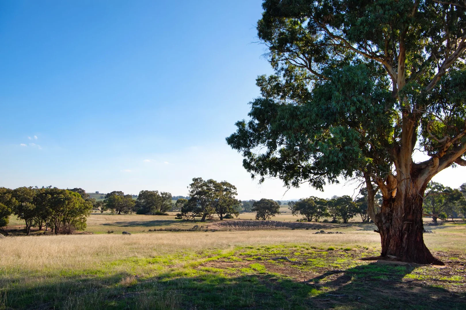 Additional image 8 of 135 Tarrengower School Road, Tarrengower VIC 3463
