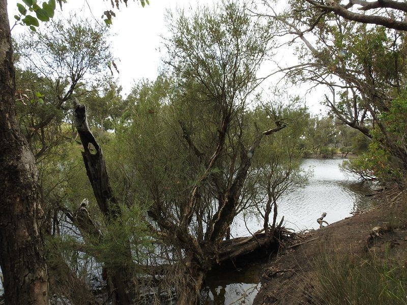 Boyup Brook Kojonup Road, Boyup Brook WA 6244 Rural Lifestyle