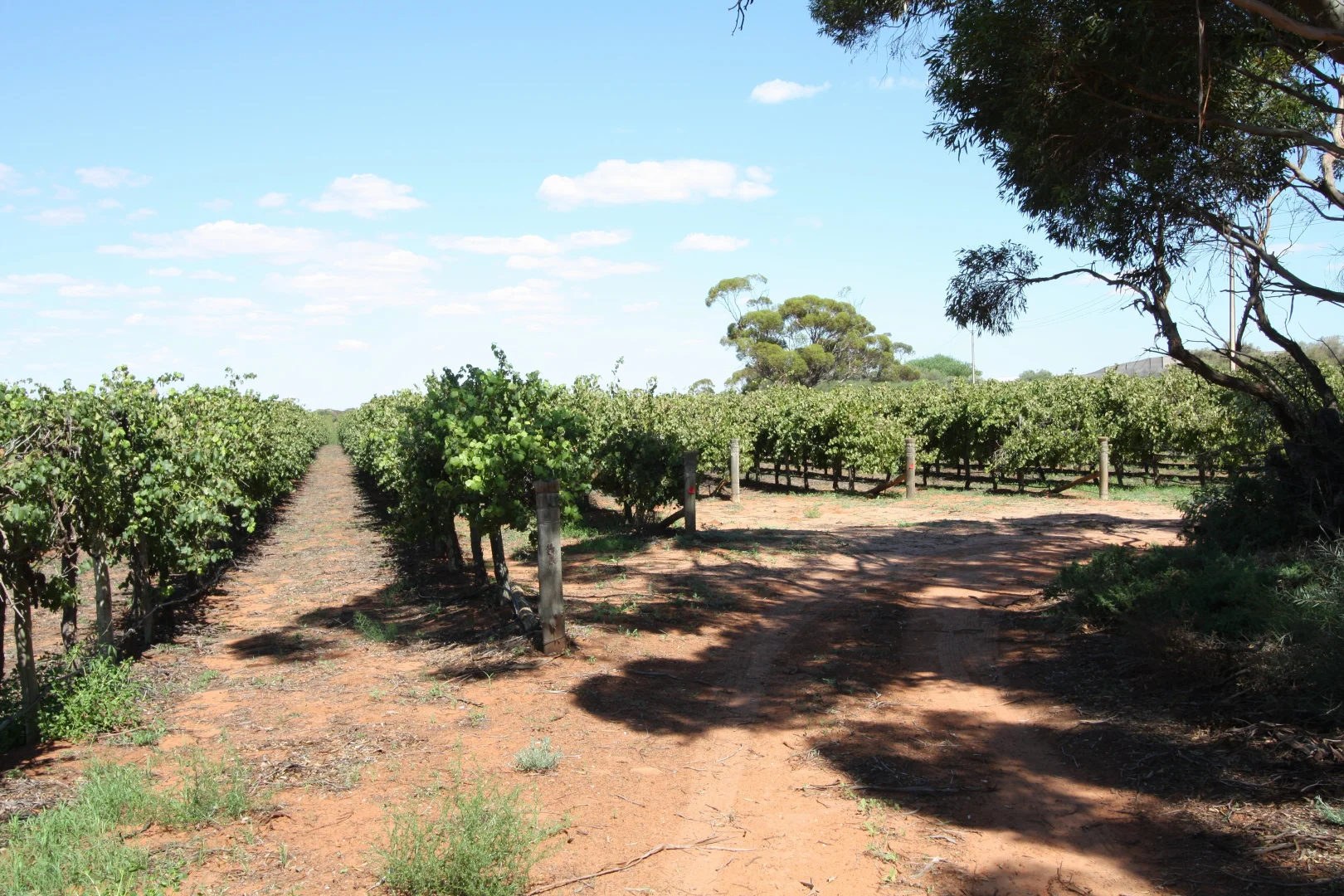 Additional image 10 of Lot 7 Pike Creek Road, Lyrup SA 5343