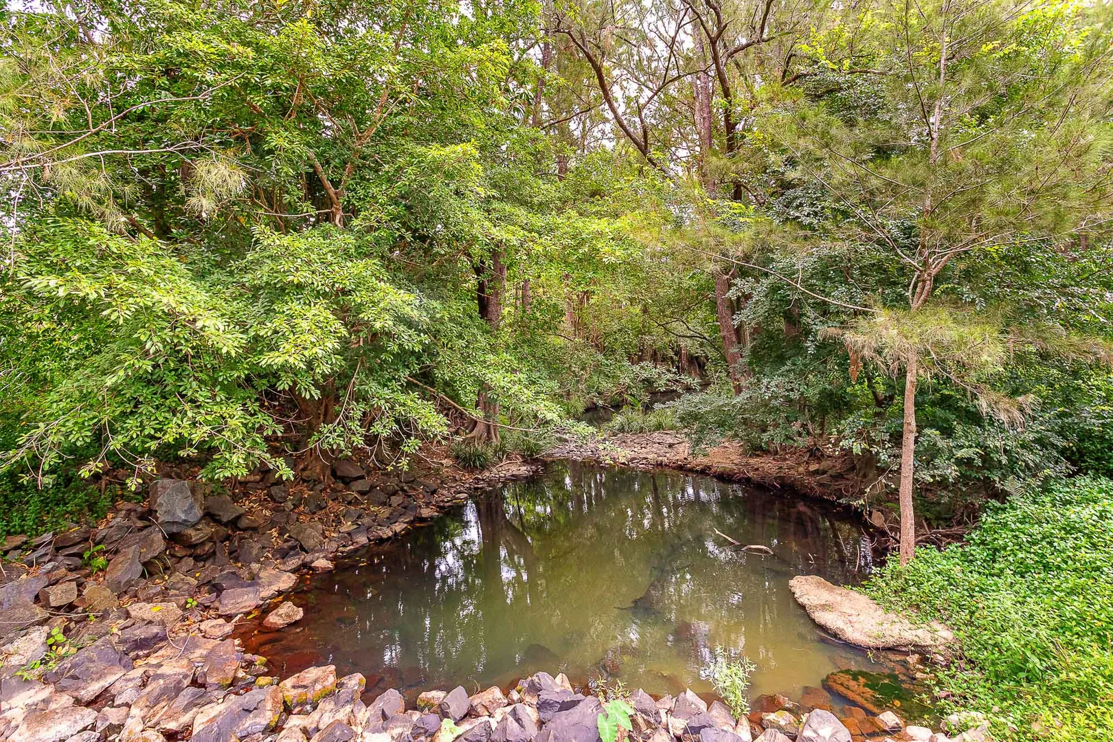 Additional image 23 of 34 Berrigans Road, Mudgeeraba QLD 4213