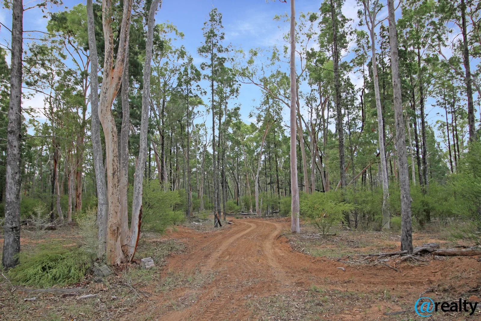 Image 18