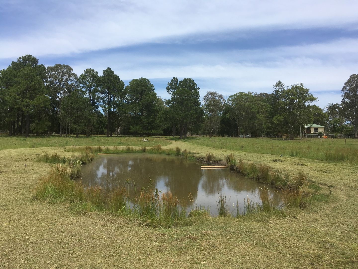 Lot 2, 190 Rileys Hill Rd, Broadwater NSW 2472, Image 1