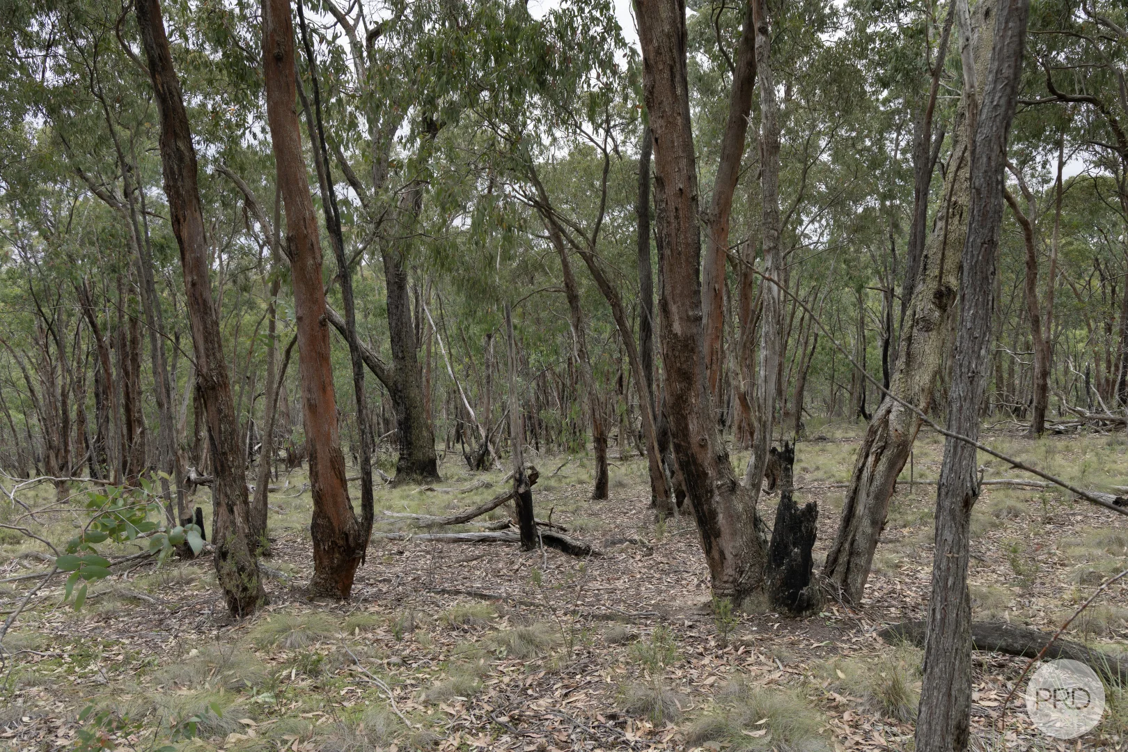 Additional image 5 of Lot 5 Haighs Lane, Snake Valley VIC 3351