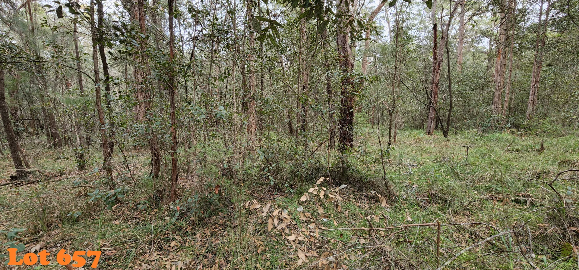 Image 11
