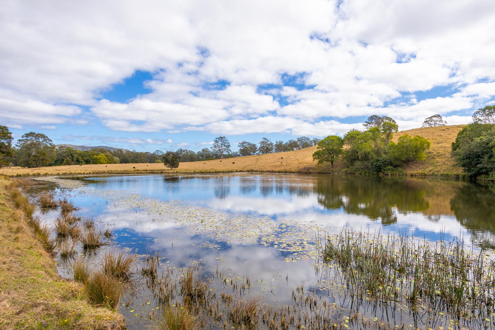 1276 Manning Hill Road, Bunyah NSW 2429, Image 1