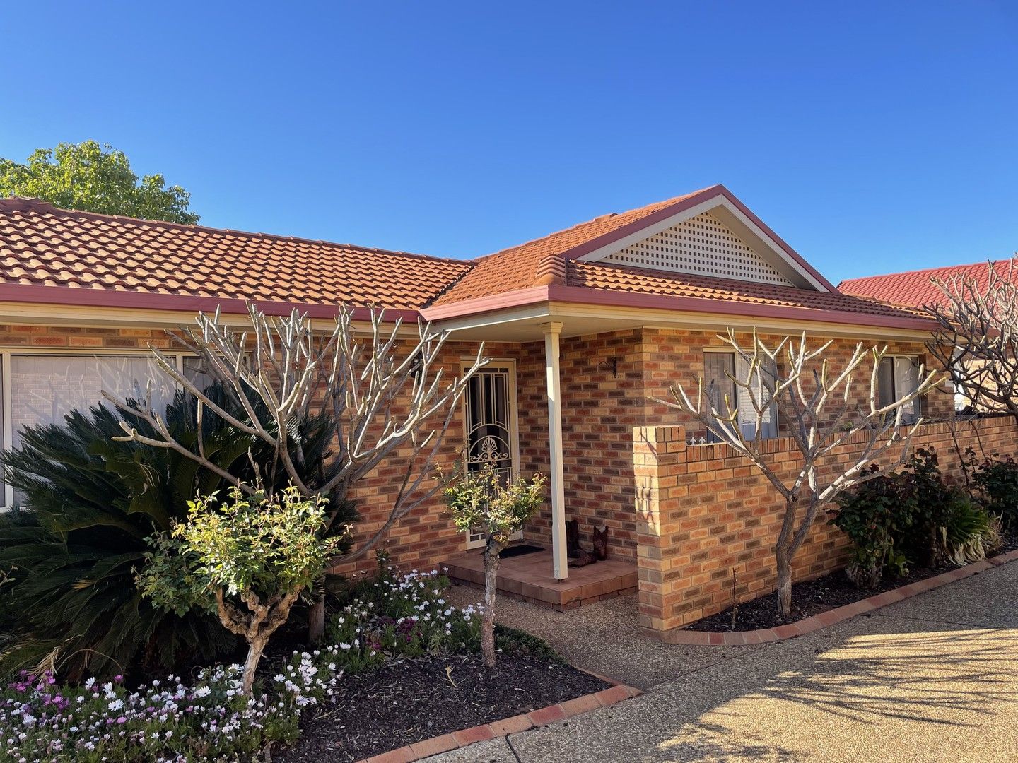 1/3 Worfolk Place, Griffith NSW 2680, Image 0