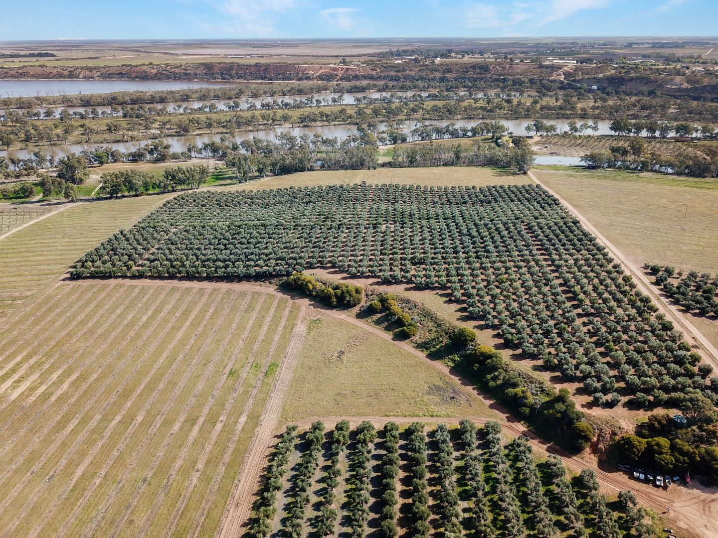 Lot 22 Carter Road, Taylorville SA 5330 Specialist Farm for Sale