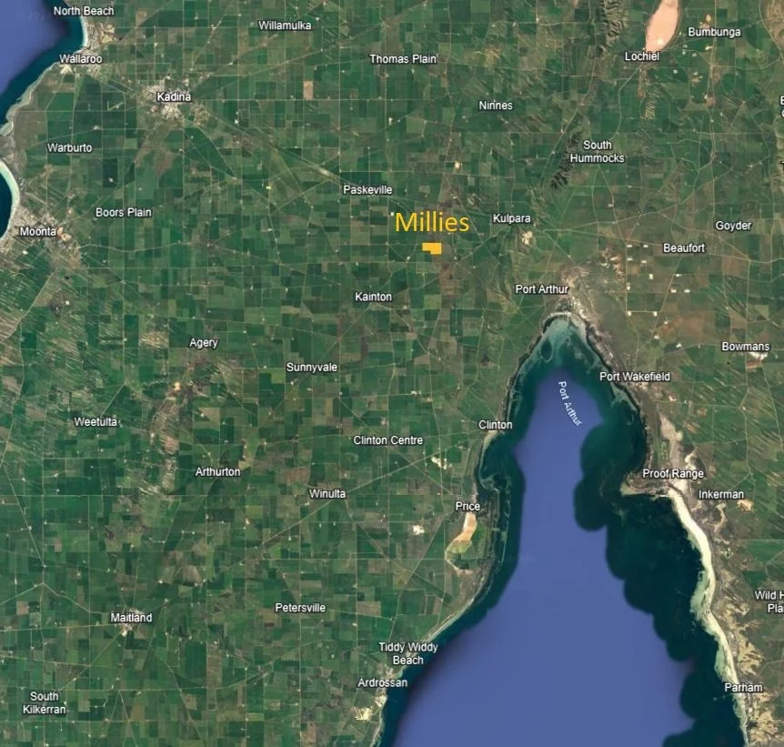 Image 5