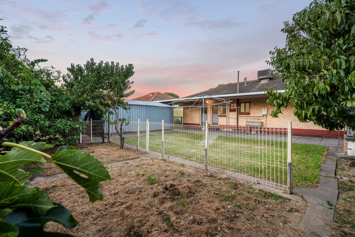 Image 17