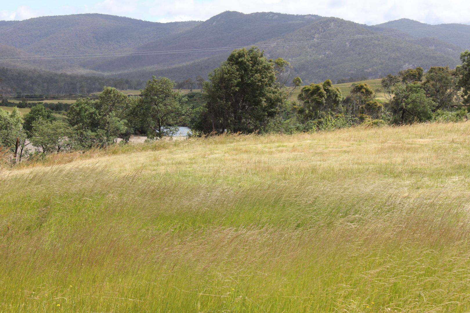 Lot Lot 1&2/43 Falmouth Street, Avoca TAS 7213, Image 2