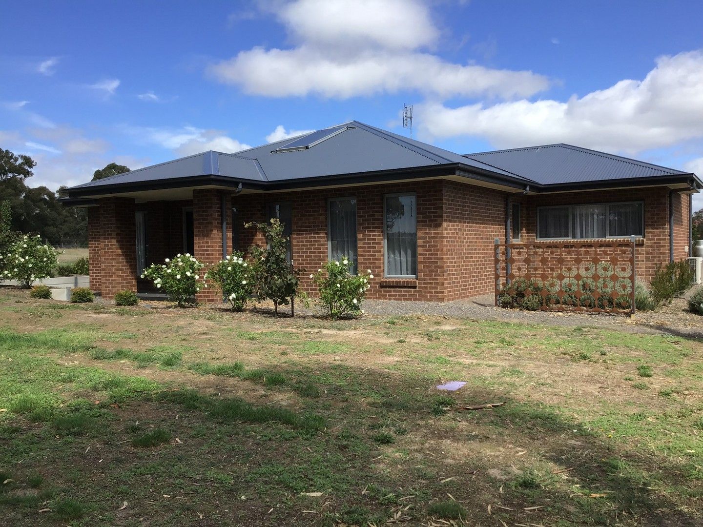 57 Leafy Lane, Harcourt VIC 3453 House For Rent Domain