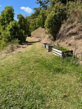 Additional image 28 of Main Arm NSW 2482