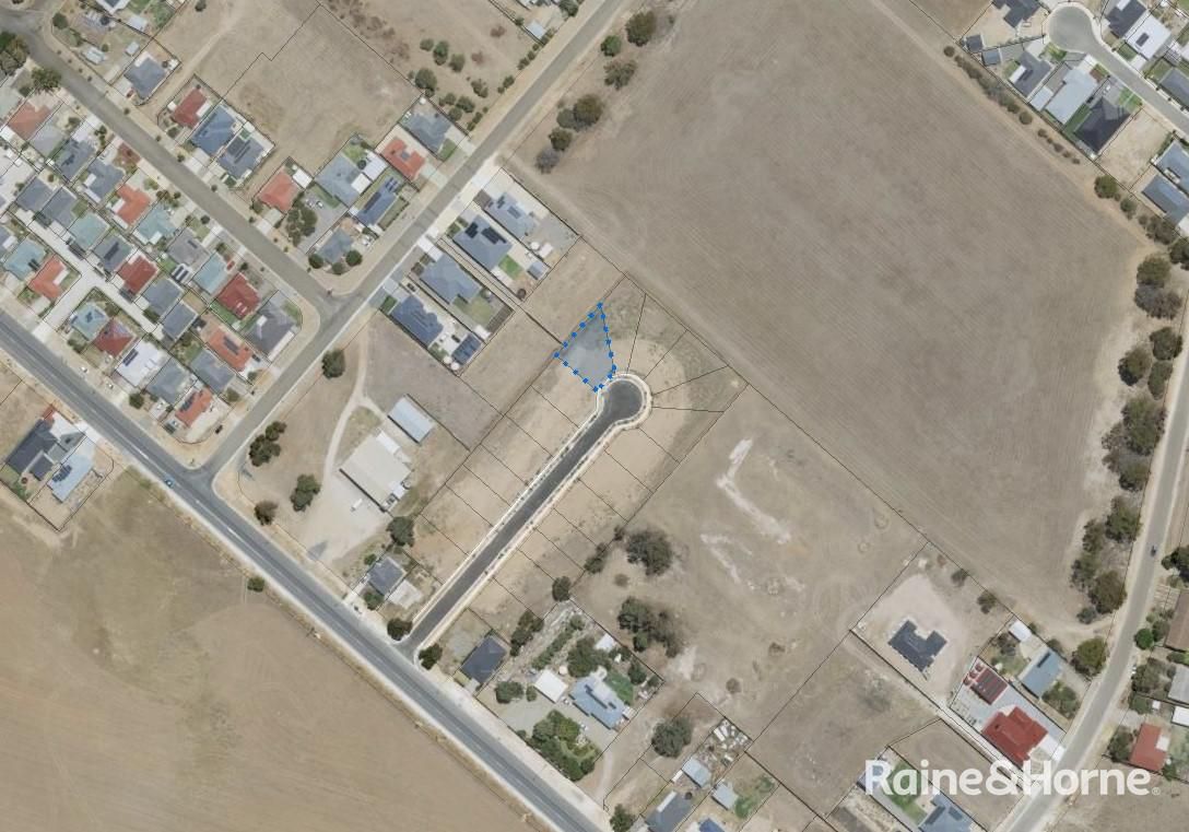 Lot 12 Nori Court, Murray Bridge SA 5253, Image 2