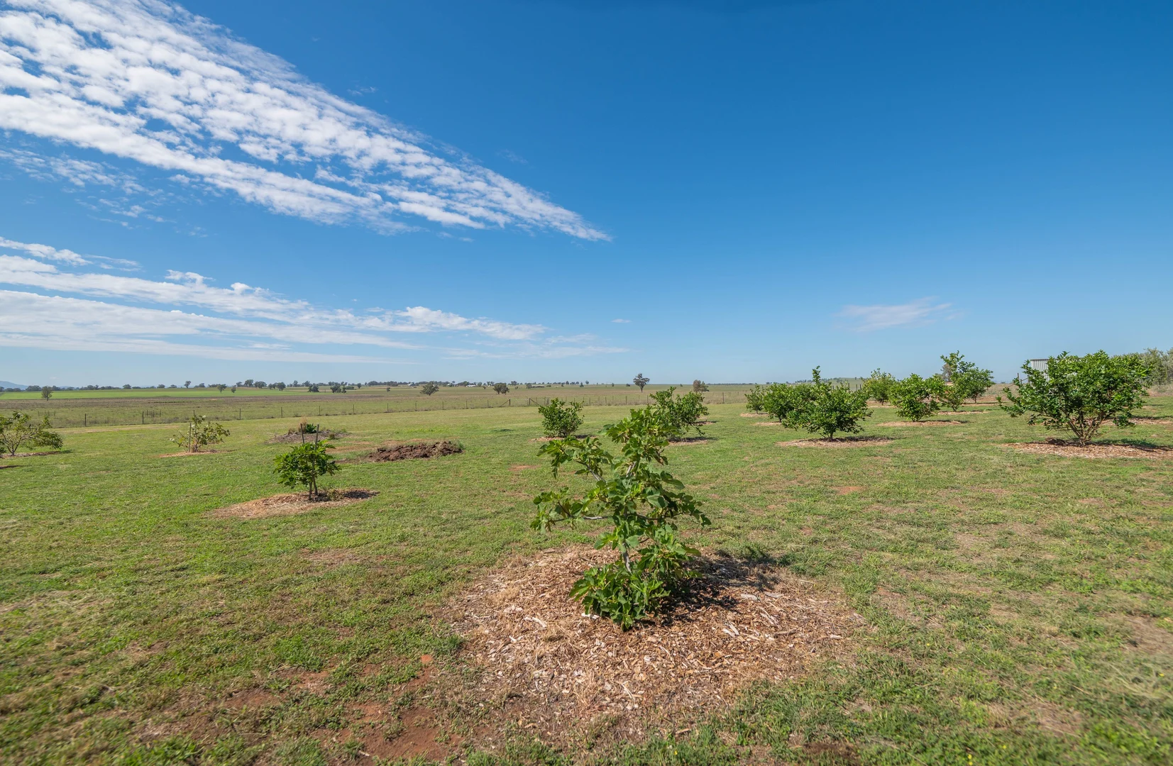 Additional image 29 of 63 Gunning Ridge Road, Forbes NSW 2871