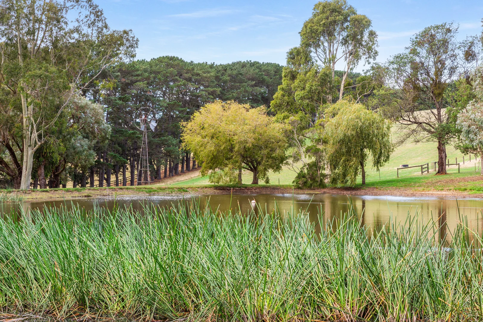 Additional image 22 of 72 Baldrys Road, Main Ridge VIC 3928