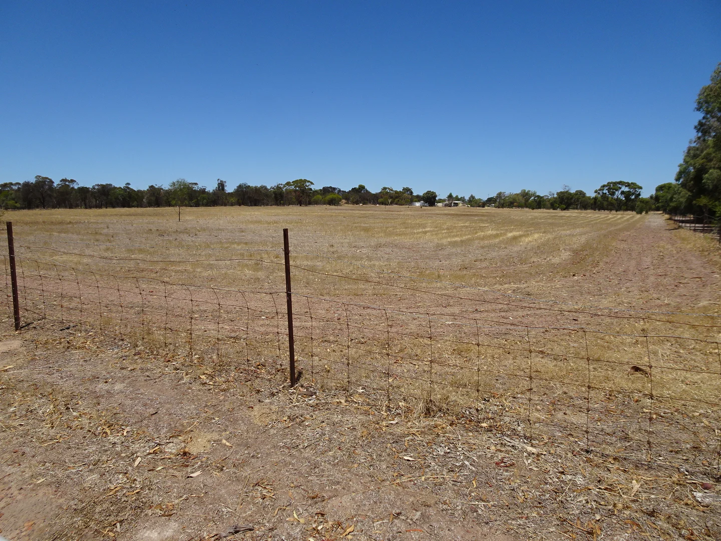 Additional image 13 of 5 Realm Street, Pingelly WA 6308