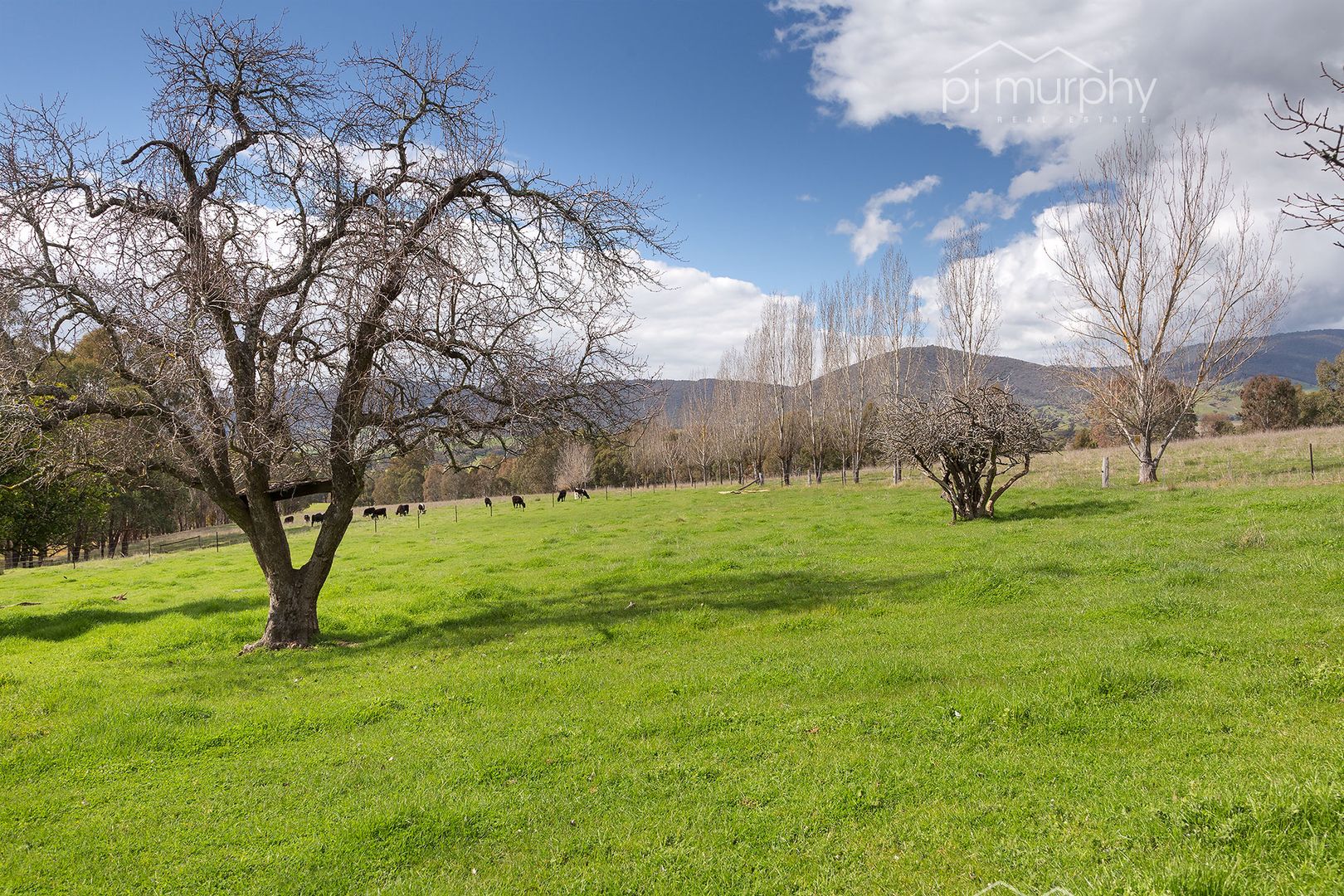 Lot 5 Osbornes Flat Road, Yackandandah VIC 3749, Image 1