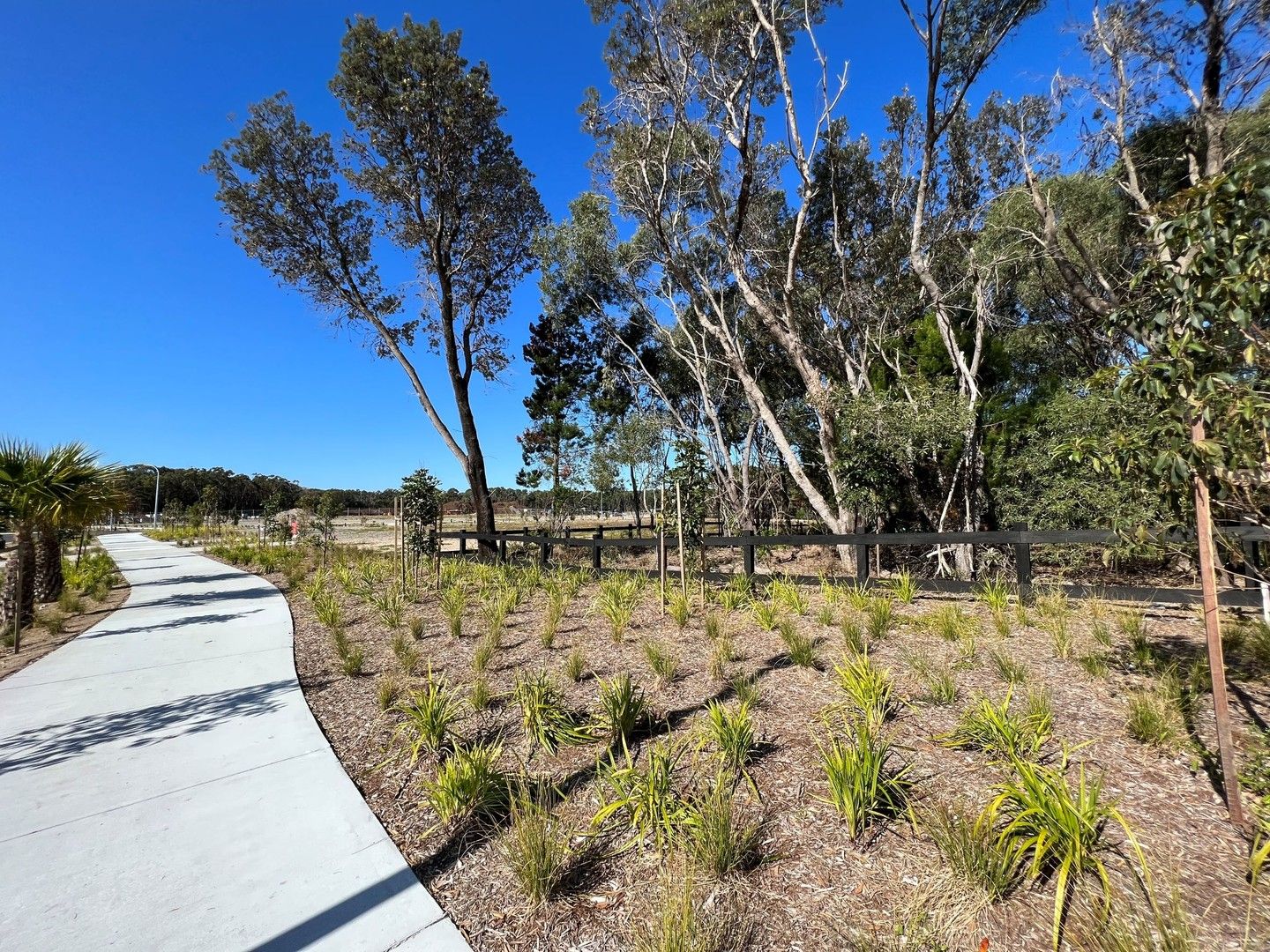 Vacant land in 23 Gargle Circuit, ILUKA NSW, 2466