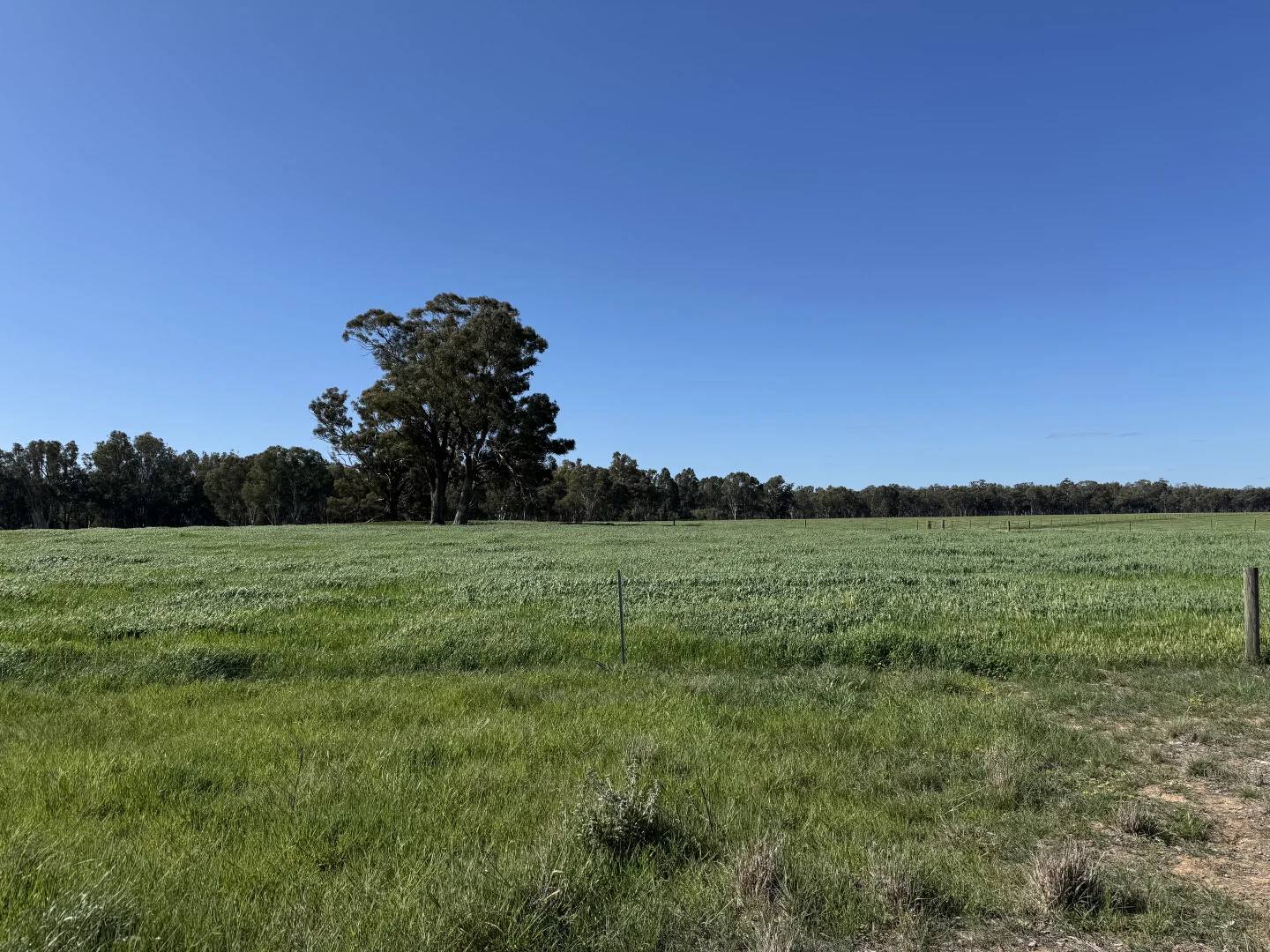 Image 37