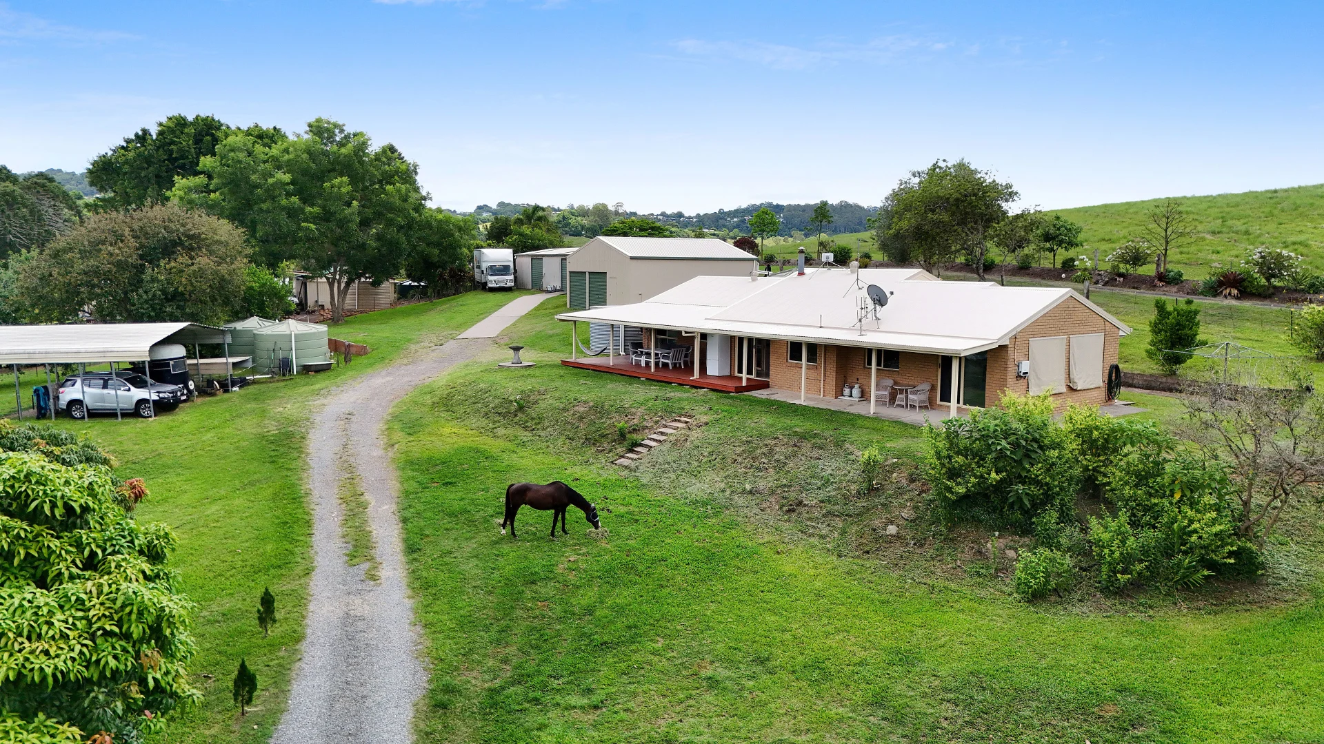 Image 19
