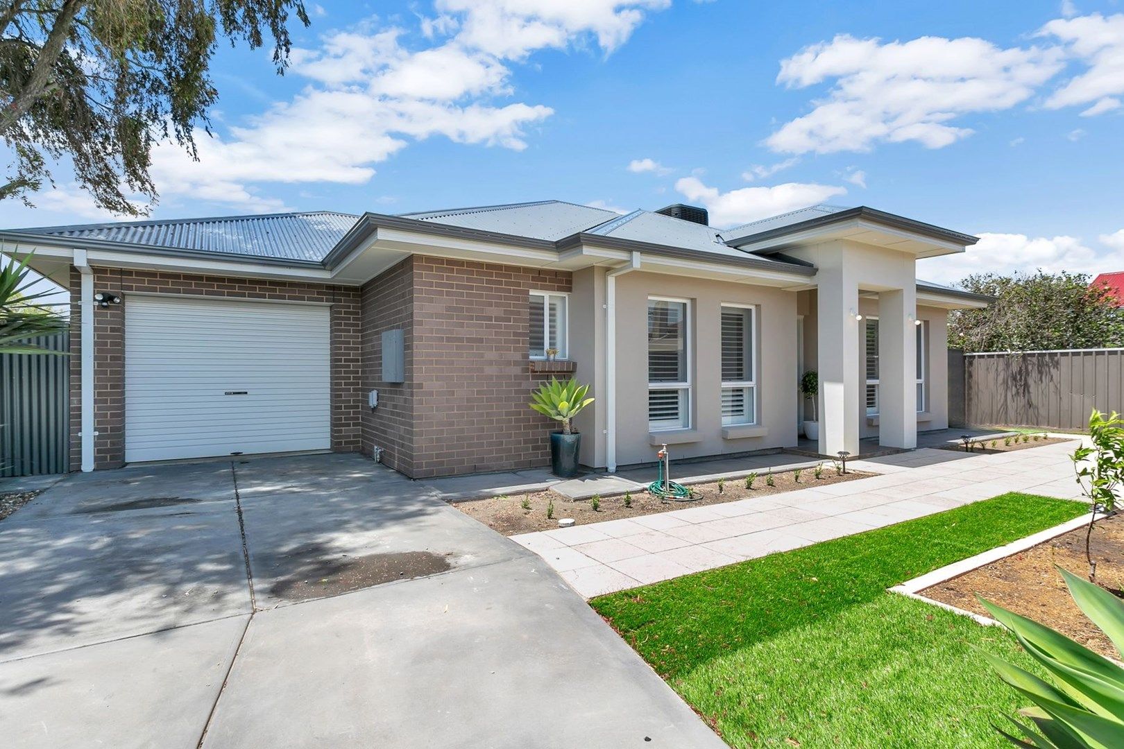 19A Clifton Street, Camden Park SA 5038, Image 0