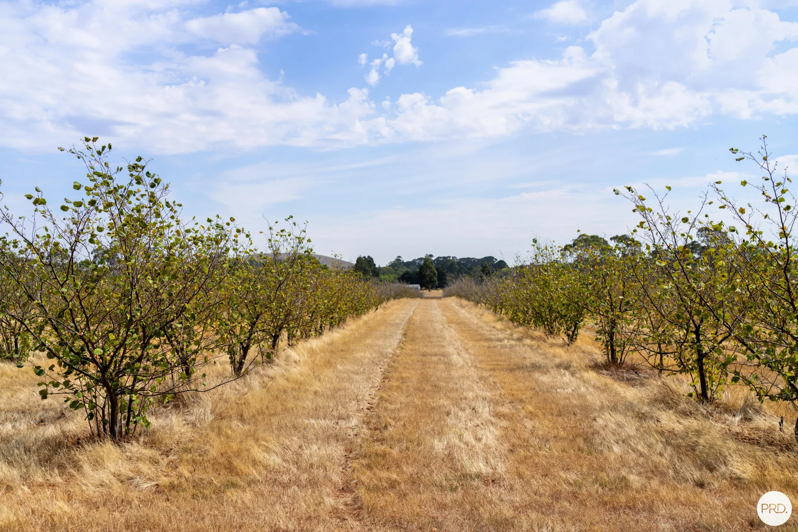 Additional image 19 of 9 Stag Road, Allendale VIC 3364