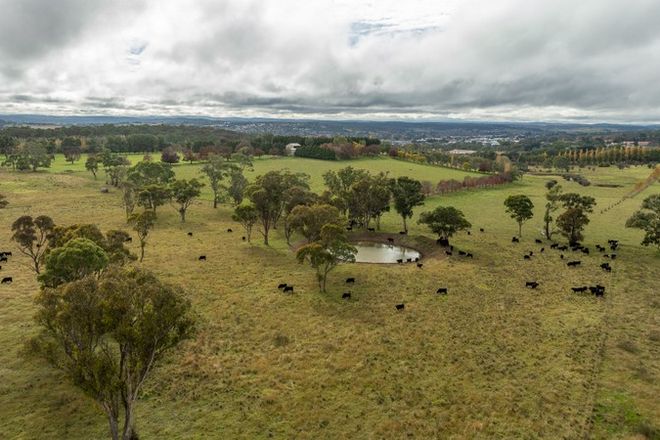 Picture of 261-335 Bundarra Road, ARMIDALE NSW 2350