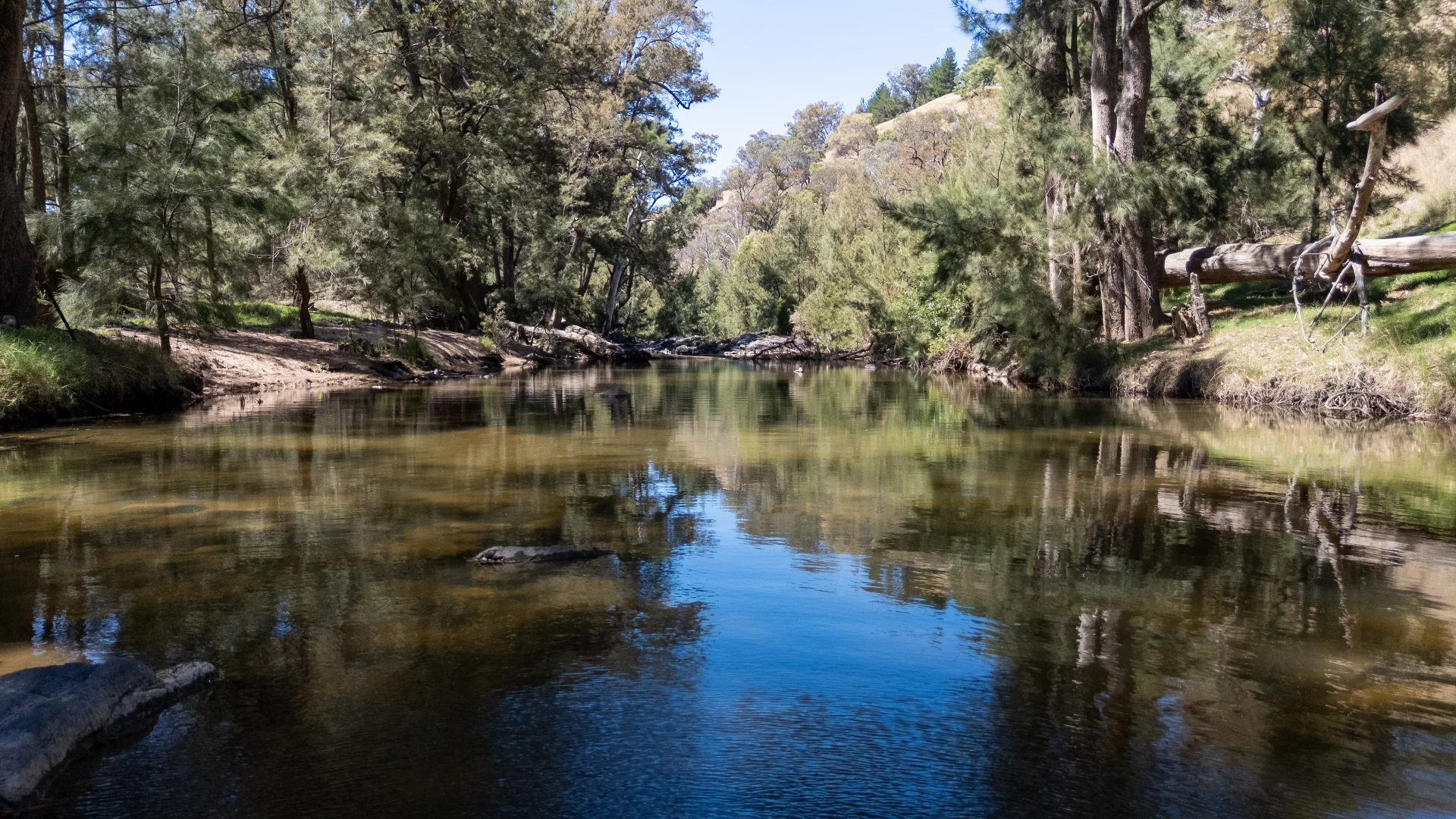 Additional image 12 of 1859 Sylvia Vale Road, Binda NSW 2583