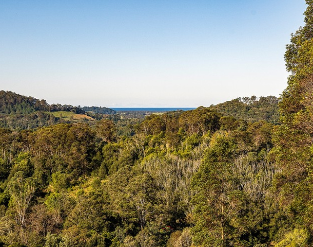 56 Binalong Court, Upper Burringbar NSW 2483