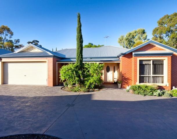 2/487 San Mateo Avenue, Mildura VIC 3500