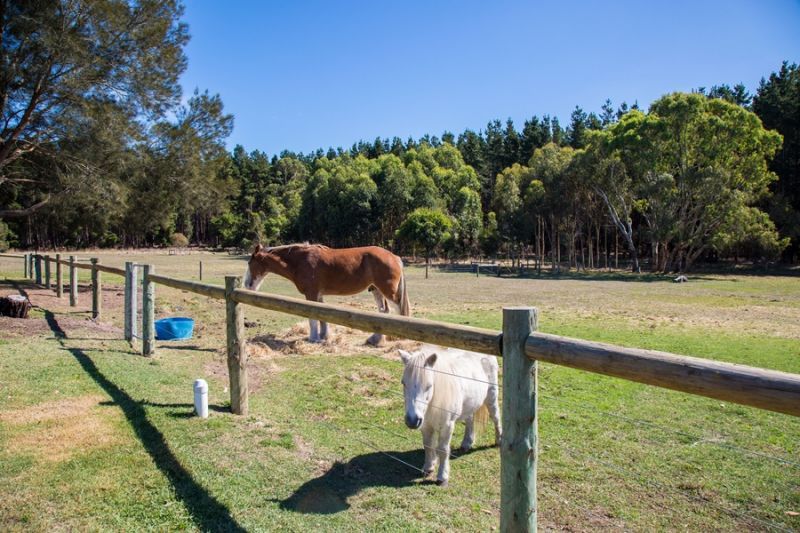 138 KENNEDY ROAD, Koorine SA 5279, Image 2