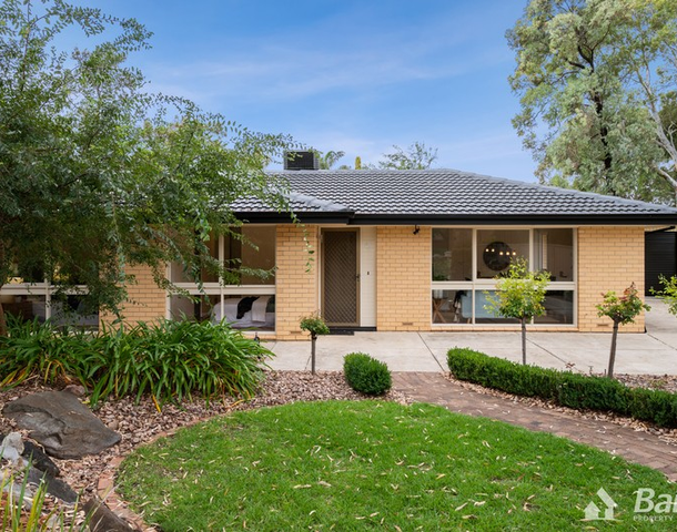 41 Solandra Crescent, Modbury North SA 5092