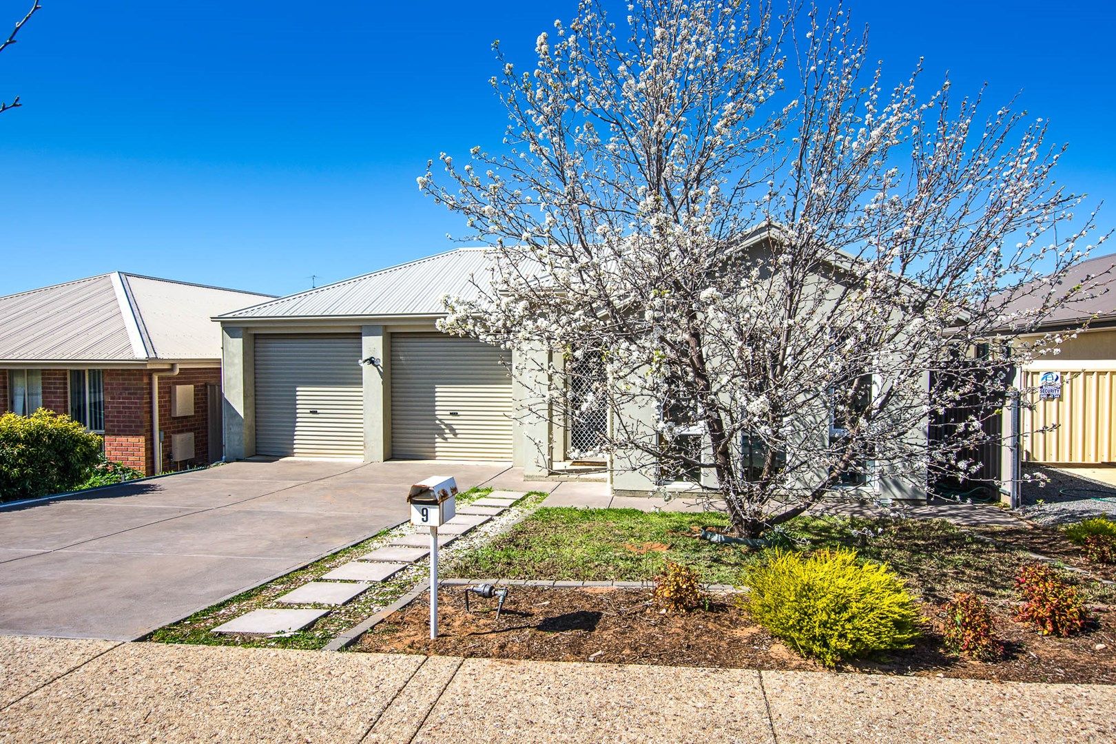 9 Sedge Court, Murray Bridge SA 5253 House For Rent 425 Domain