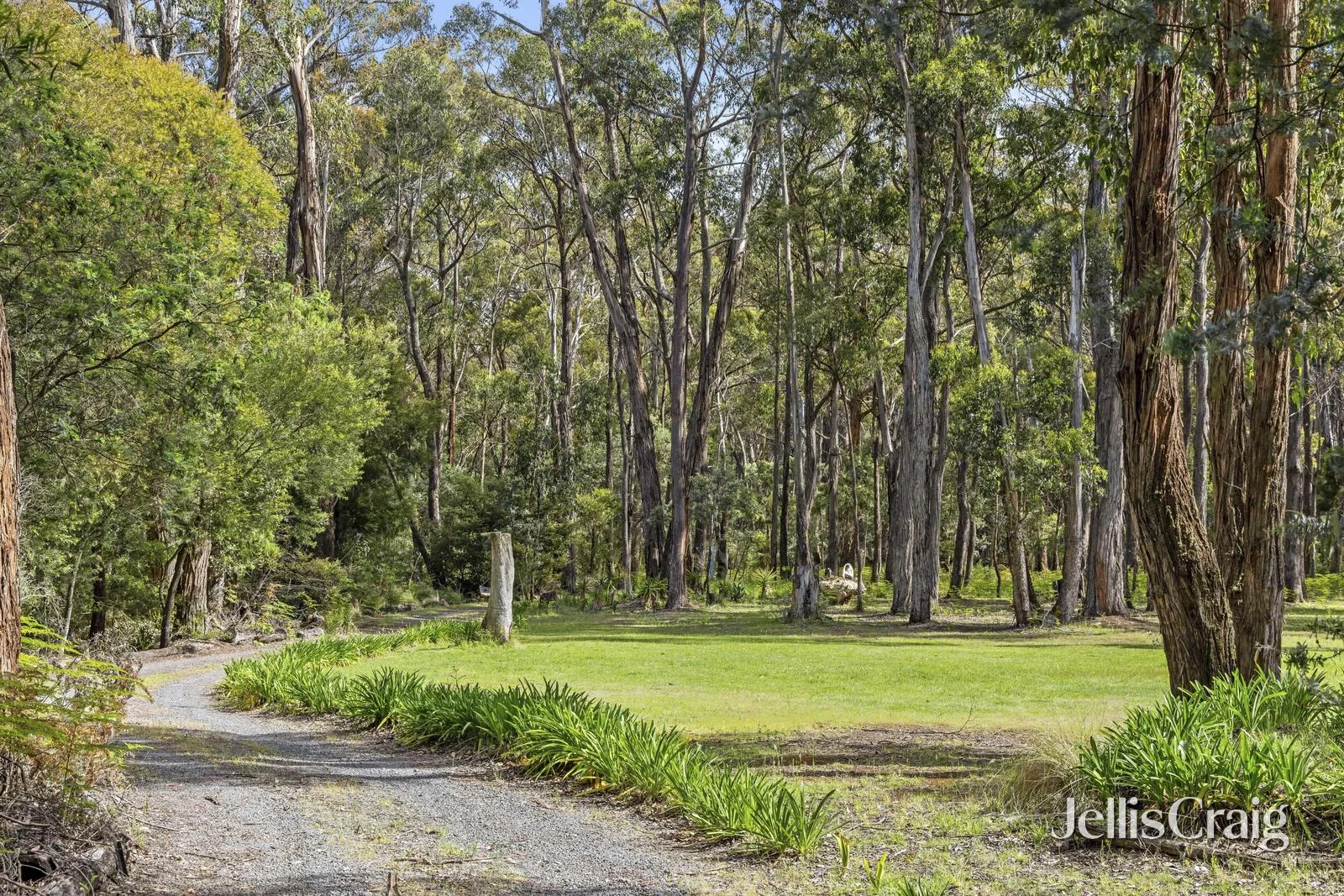 Additional image 5 of 15 Kangaroo Drive, Coomoora VIC 3461