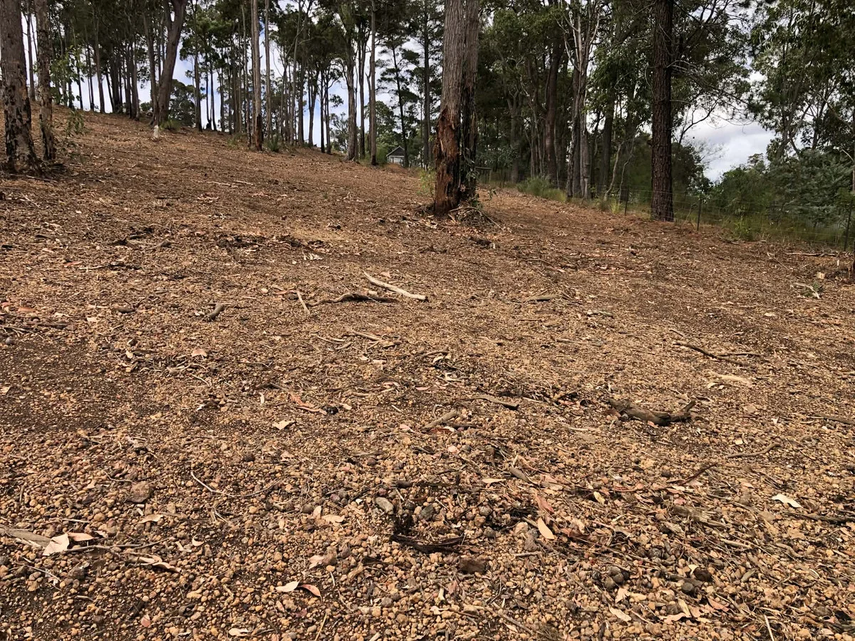 Additional image 5 of 51 Carey Street, Nannup WA 6275