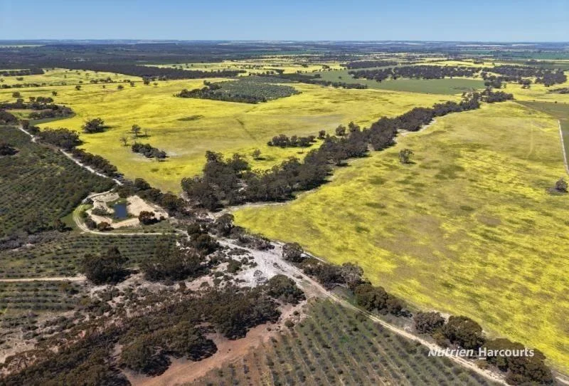 184 Ewert Road, Morbinning WA 6304