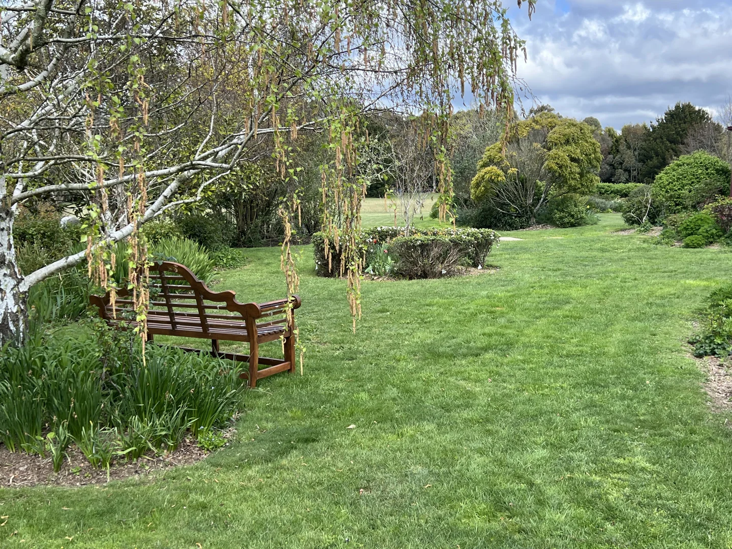 Image 24